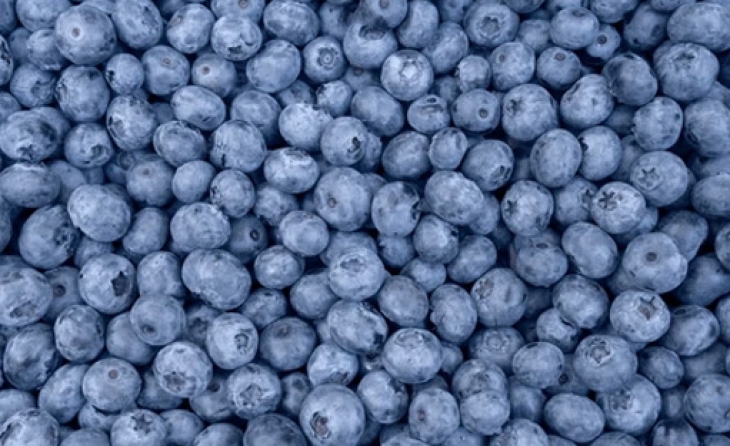 Blueberry (IQF Frozen)