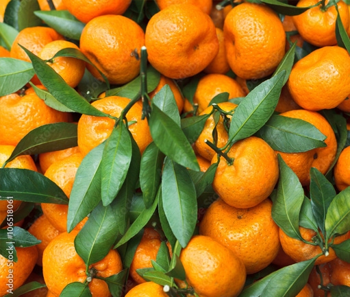 Mandarin (Fresh)