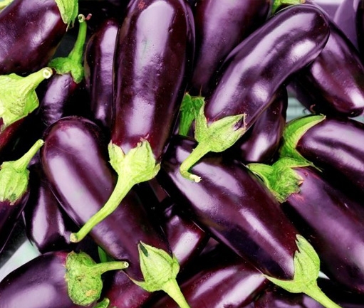 Eggplant (Fresh)