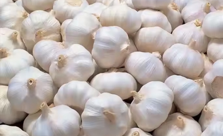 Garlic (Fresh)