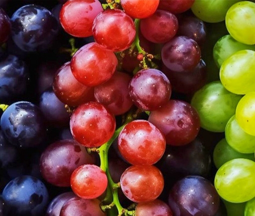 Grapes (Fresh)