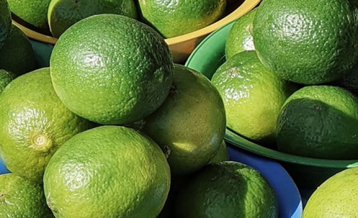 Lime (Fresh)