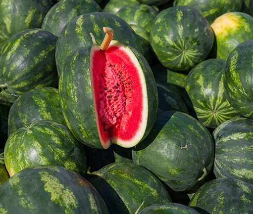 Watermelon (Fresh)