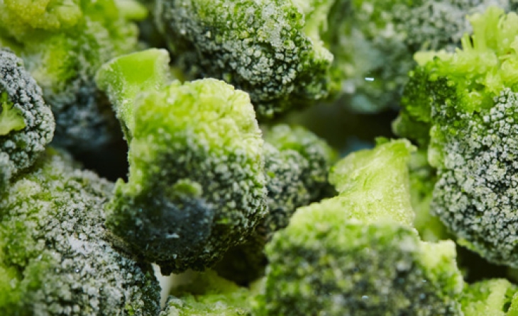 Broccoli (IQF Frozen)