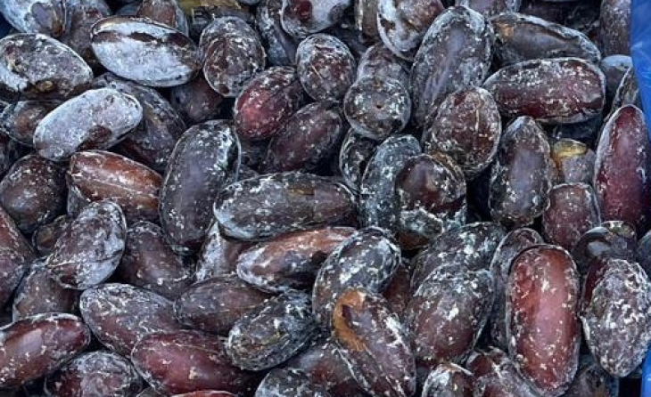 Dates (IQF Frozen)