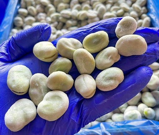 Fava Beans (IQF Frozen)