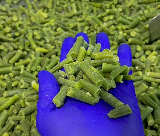 Green Beans (IQF Frozen)