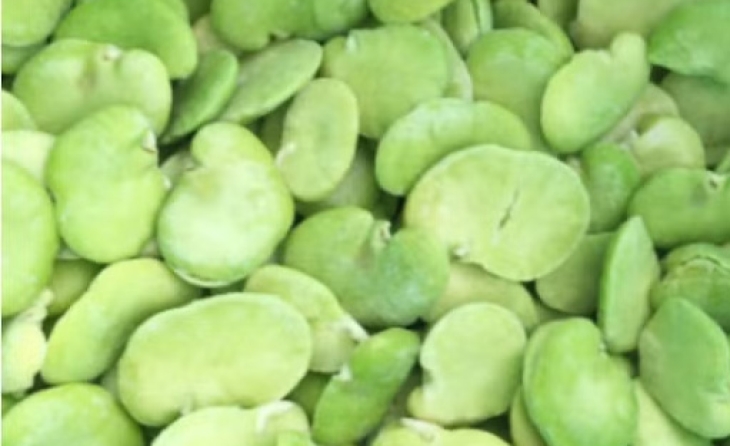 Lobed Broad Beans (IQF Frozen)