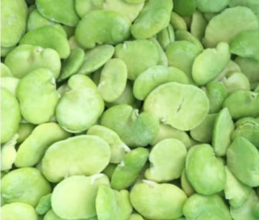 Lobed Broad Beans (IQF Frozen)