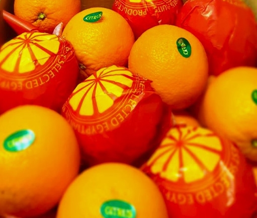 Orange (Fresh)