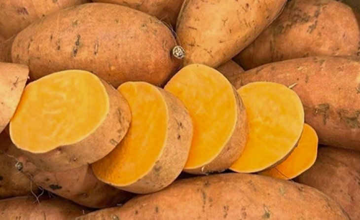 Sweet Potatoes (Fresh)