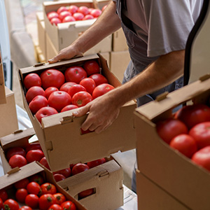 Importers & Distributors